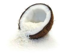 Vietnam Desiccated Coconut