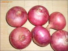 China fresh onion export to dubai
