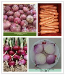  types   red  onion