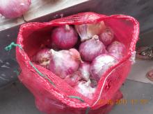 Big Delicious Red Onions