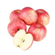 fuji apple 2014 new crop fuji apple for kuwait fresh red apple for kuwait