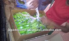 cavendish fresh Banana