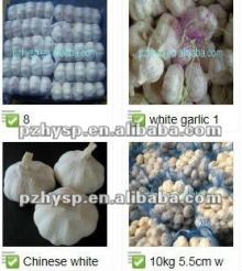 2013 Cold Pizhou Garlic in different packaging