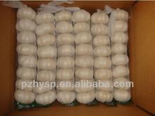Cartons packing White Garlic ( Top quality & Good price)