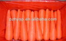 fresh carrot