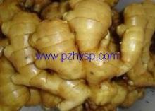 Fresh Ginger