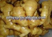2013 New Crop Chinese Ginger Price