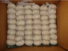 Pure White Garlic (500g*10/5kg Blue Mesh Bag)