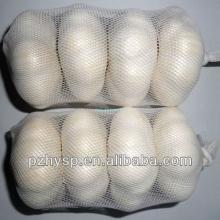 White Garlic good price for sale