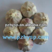 Red Cold Garlic for Sale
