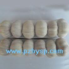 2013 Fresh vegetables garlic /ginger in China