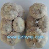 China normal white (red) garlic in Pizhou