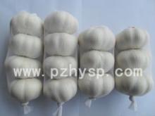 Crop 2013 cold storage pure white garlic