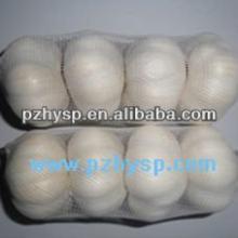 small packing Cold red Garlic