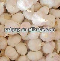 Laiwu White Garlic 2013 hot sale
