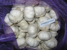 red fresh garlic with low price