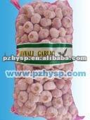 2013Pizhou Cold Garlic Price