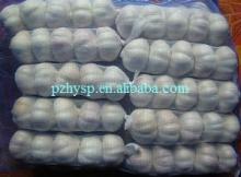 specification fresh ginger and garlic