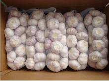 200g/500g/1kg garlic from China