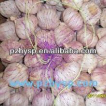 2013 Bulk Garlic for Sale