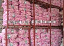 10kg Bulk Garlic