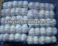 2013 Hot Sale Normal White Garlic