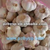  China   garlic   price  Hot sale)