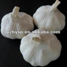 The  Frozen  Vegetables of Cold white Garlic (lowest price)