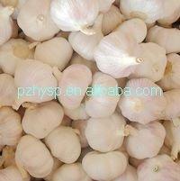 3 p Pure White Garlic Hot sale in 2013