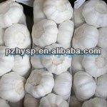 Frozen White  Snow   Garlic 