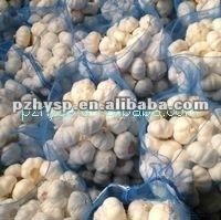 Chinese 2013 Cold Pure White Garlic (best price)