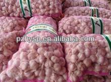 2013 Hot Sale  bulk   garlic  5.0cm