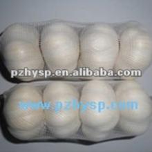 The agricultural products of Pizhou garlic (in cold storage)