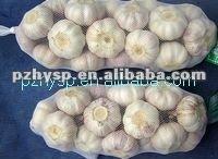 2013 Hot Sale 2013 Crop Size 5.0cm up Normal White garlic