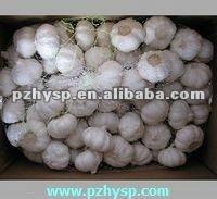 2013 China garlic price (in cold storage)