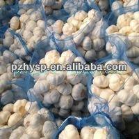 Chilli garlic (best price, high quality and cold storage )
