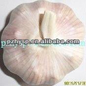 Fresh Garlic from China 2013 Crop
