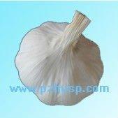 hot sale snow white garlic
