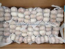 Chinese White Garlic inables  Organic   Vegetables 