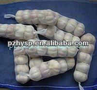 lastest price of snow white garlic