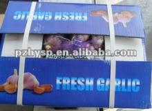 Frozen White Garlic from China ( carton)