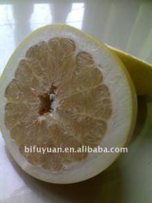 Fresh Pomelo