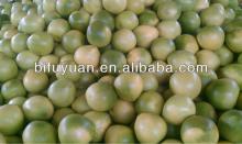 Good quality honey pomelo
