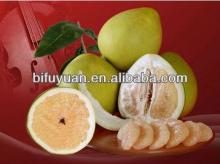 Top best honey pomelo