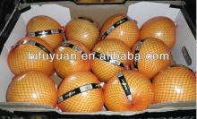 2014 hot sale honey pomelo