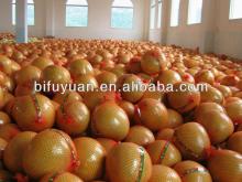 Hot sale honey pomelo
