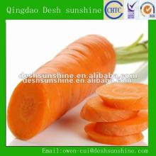 2012 New crop Fresh carrot for sale