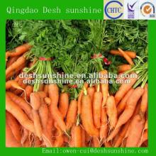 price organic fresh red carrots