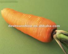 2012 new crop fresh carrot export from China