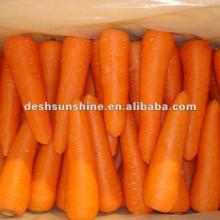 hot sale Chinese 2012 new crop carrot (80-350g)